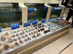 水产区-新洪记·丽久饭店(铁西店)