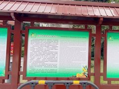 -金花茶公园