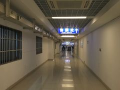 -上海浦东国际机场长途汽车客运站