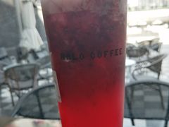 气质杨梅-HALO COFFEE(华贸店)