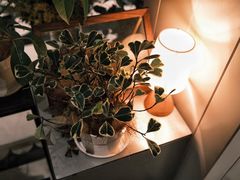 -一尺花园(安和花园店)