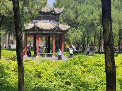 -洛阳白马寺