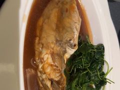 -沈灶河豚宴·河豚融合餐厅(汉中路店)