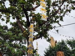 -古塔公园