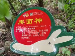 -呀诺达热带雨林