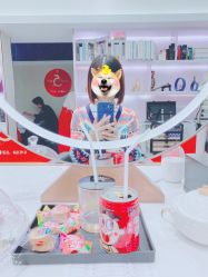 -MODEL SAGA名媛世家