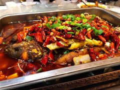 -阆辣荟餐饮(老味道8年·古城店)