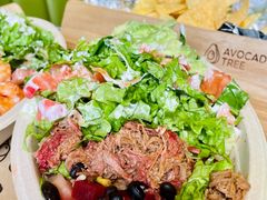 -油梨树AVOCADO TREE(顺义新国展店)