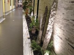 -小厨娘淮扬菜(六合欢乐港店)