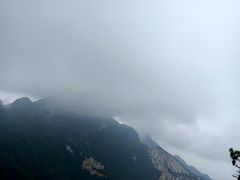 -王顺山国家森林公园