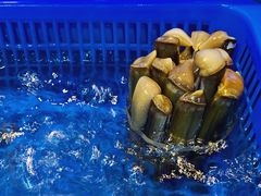竹笙王-小龍鳳·港式海鲜打边炉(沙湖路店)