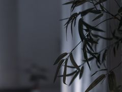 -六朝博物馆