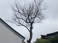 -山塘街