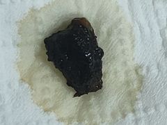 -许家鸡味手抻面馆(杏林街店)