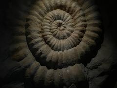 -重庆自然博物馆(新馆)