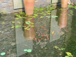 -爱丽馨御景月子中心