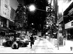 -广交会威斯汀酒店