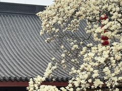-杭州上天竺法喜讲寺