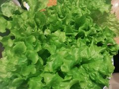 -韩宫宴炭火烤肉(昆山金鹰店)