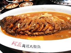 -阿五黄河大鲤鱼(英协路店)