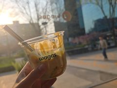 -Wagas沃歌斯(环贸店)