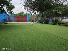 -宠物寄养训练学校