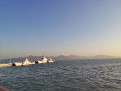 -深圳湾公园(南山区)