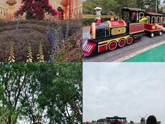 -东莞植物园