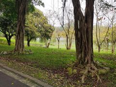 -福建鲤鱼洲酒店