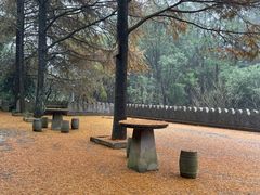 -达蓬山旅游度假区