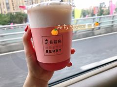 -莓超疯
