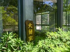 -南京市溧水区傅家边梅花山弄山庄