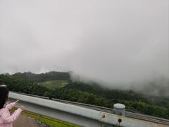 -江南天池