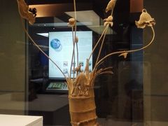 -杭州工艺美术博物馆