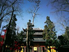 -灵隐飞来峰景区