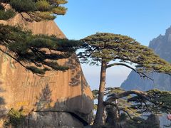 -徽州美食(三十年老店)