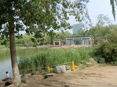 -大兴滨河森林公园