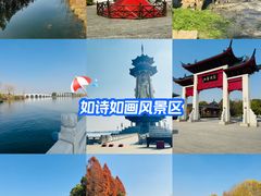 -溱湖国家湿地公园