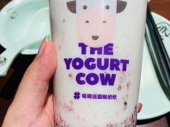 -一只酸奶牛(欧亚大观店)