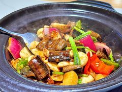 -鸽小宝(深圳首店)