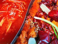 冷锅鲜鸭血-楠火锅(哈尔滨金爵万象店)