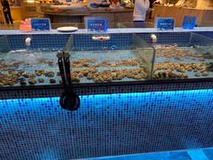 -小天鹅戴斯酒店鲸鲨百汇创作料理