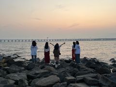 -宝安西湾红树林湿地公园