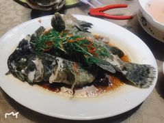 -百年银屏蚝烙·潮汕菜·非遗(乐山店)