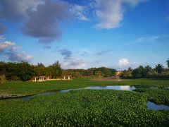 -三亚珠江南田温泉度假区