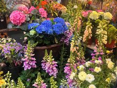 -双季花艺园艺市场(浦东店)