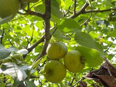 -长春公园(普阳街道)