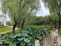 -上海大学(宝山校区)