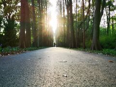 -上海滨江森林公园