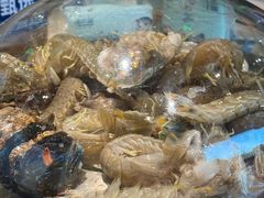 -蓝珊甄选海鲜自助·火锅大排档(近阿那亚店)